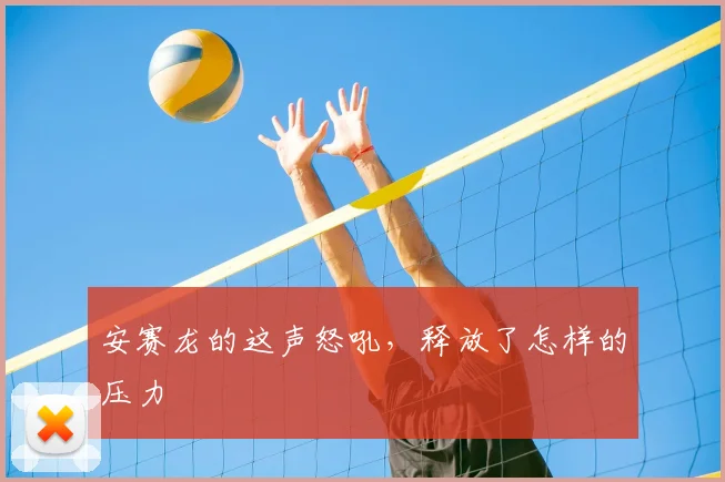 安赛龙的这声怒吼，释放了怎样的压力
