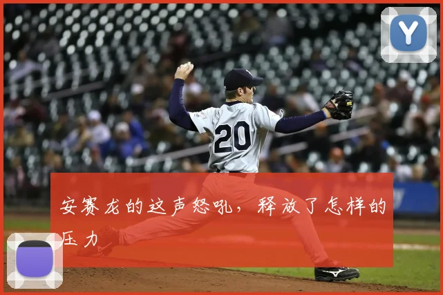 安赛龙的这声怒吼，释放了怎样的压力