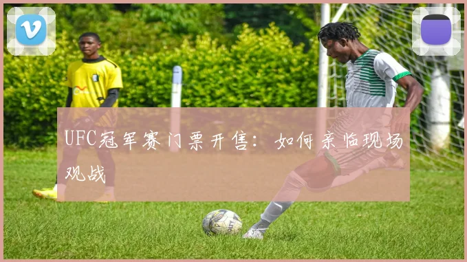 UFC冠军赛门票开售：如何亲临现场观战